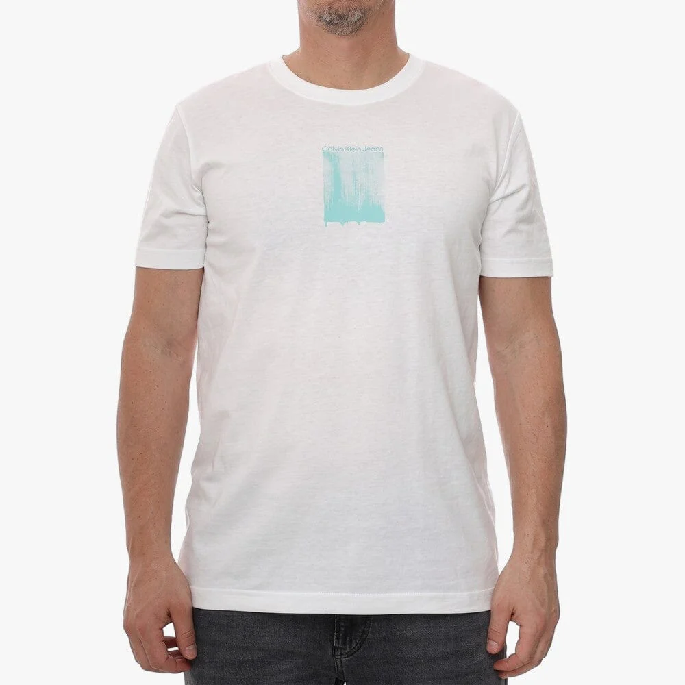 Calvin Klein Mens Brush Stroke Logo Tee White