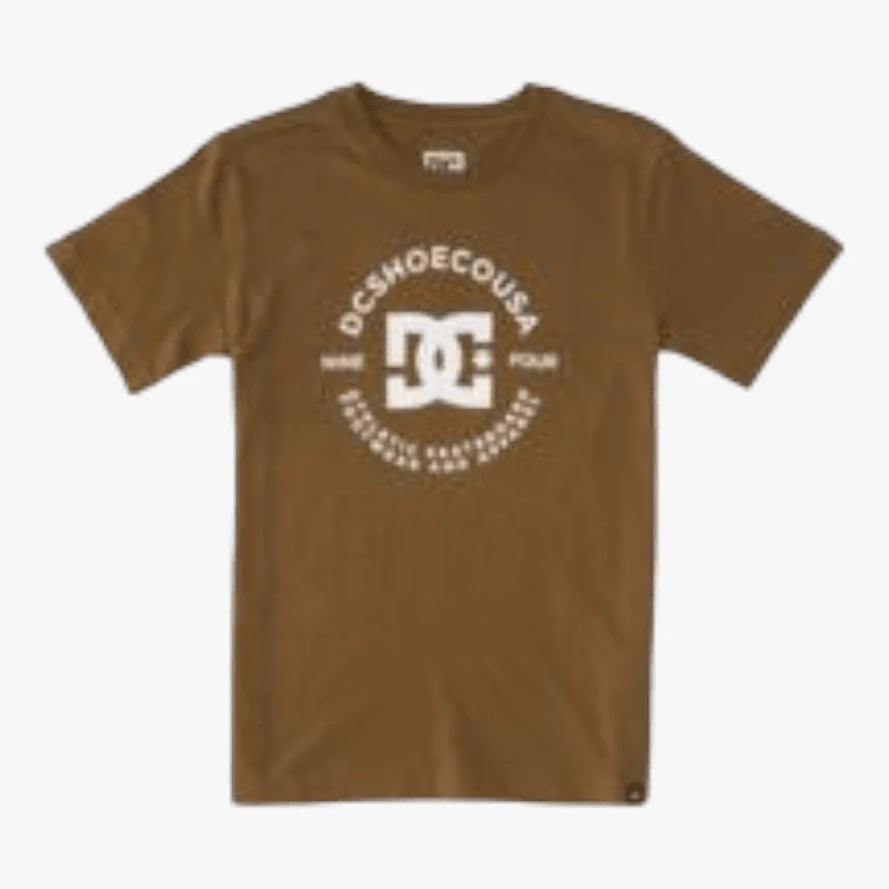 Dc Boys Star Pilot Short Sleeve Tee Forget Me Not