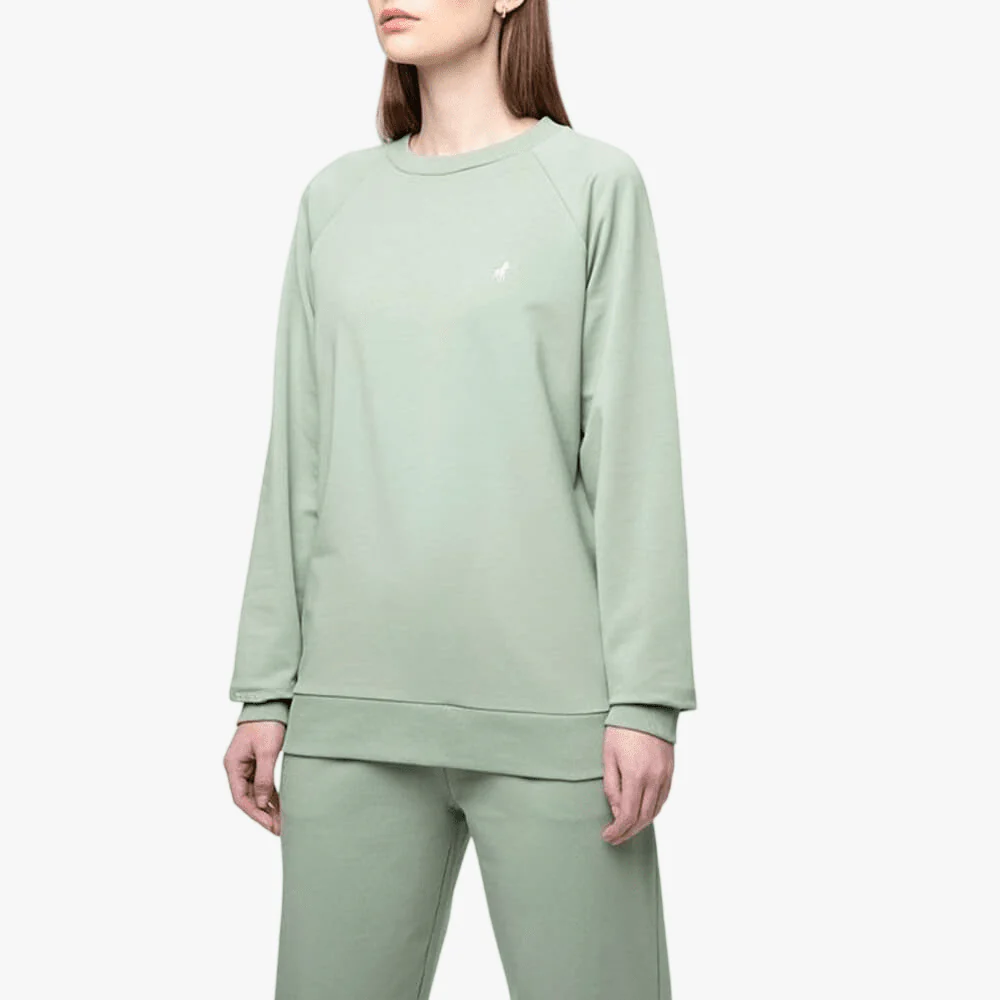 Polo Womens Sophia Sweater Sage