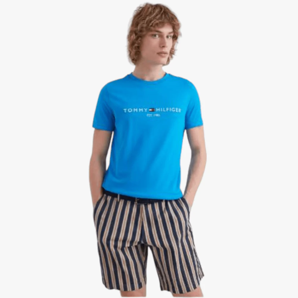 Tommy Hilfiger Mens Logo Short Sleeve Tee Blue