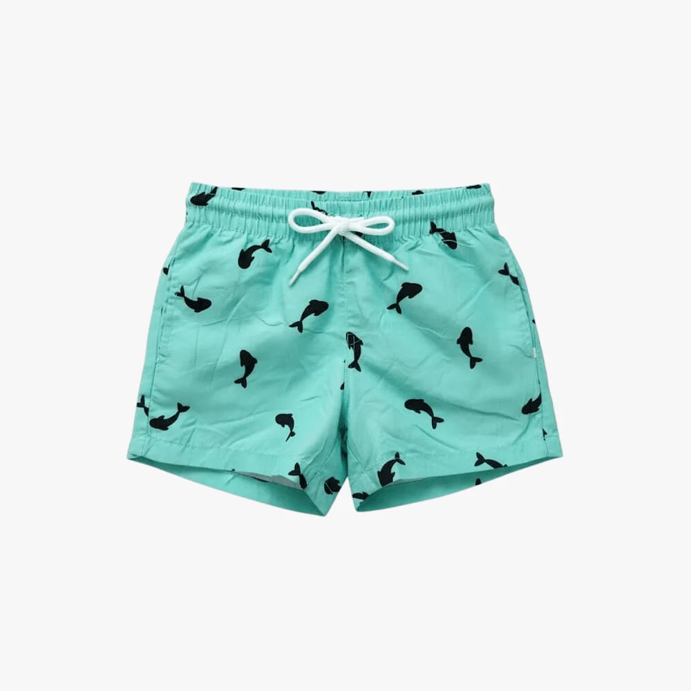 Venice Beach Boys Swim Shorts Turquoise